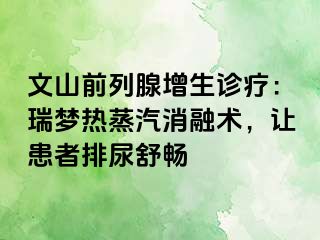 文山前列腺增生诊疗：瑞梦热蒸汽消融术，让患者排尿舒畅